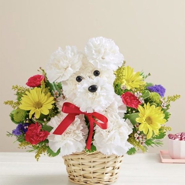 A-Dog-Able®In A Basket by local florist Where The Blooms Are In Levittown PA. Servicing Langhorne