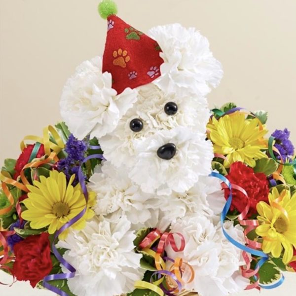 Another Year Rover™ by local florist Where The Blooms Are In Levittown PA. Servicing Langhorne