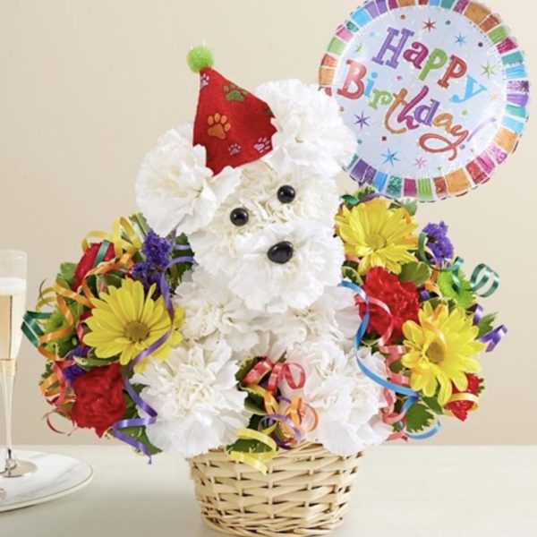 Another Year Rover™ With Balloon by local florist Where The Blooms Are In Levittown PA. Servicing Langhorne
