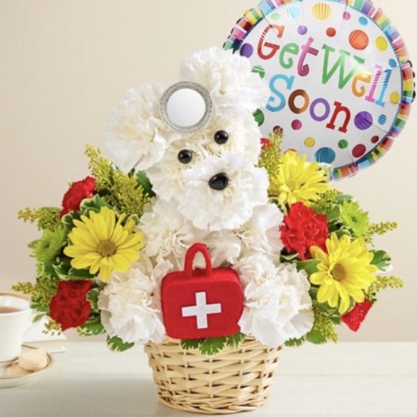 Cure-All Doggie™ With Balloon by local florist Where The Blooms Are In Levittown PA. Servicing Langhorne