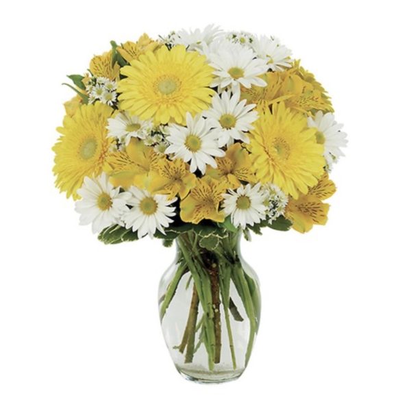 Daisy A Day Bouquet by local florist Where The Blooms Are In Levittown PA. Servicing Langhorne