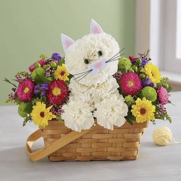 Fabulous Feline™ by local florist Where The Blooms Are In Levittown PA. Servicing Langhorne