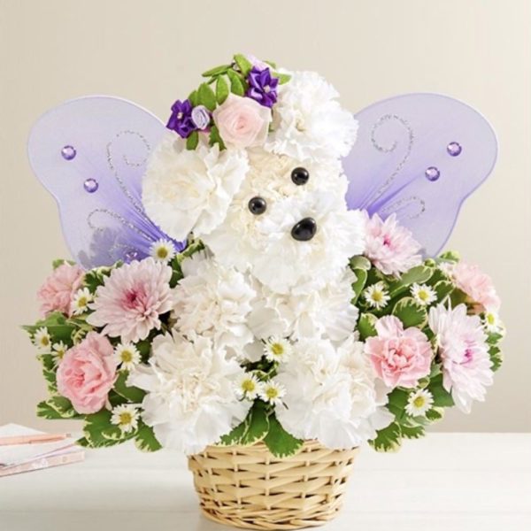 Magical Fairy Dog by local florist Where The Blooms Are In Levittown PA. Servicing Langhorne