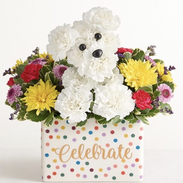 Birthday Dog Flowers by local florist Where The Blooms Are In Levittown PA. Servicing Langhorne