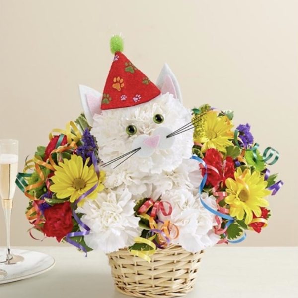 Purrfect Party Cat™ by local florist Where The Blooms Are In Levittown PA. Servicing Langhorne