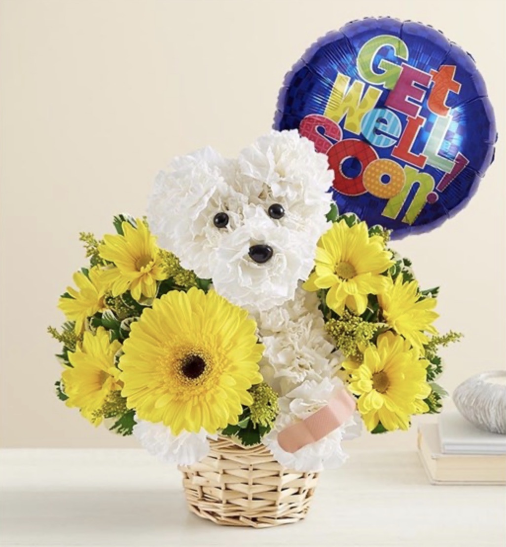 Sick As A Dog™ With Balloon by local florist Where The Blooms Are In Levittown PA. Servicing Langhorne