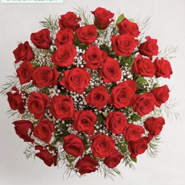 Ultimate Elegance™ Long Stem Red Roses - 48 Stems by local florist Where The Blooms Are In Levittown PA. Servicing Langhorne